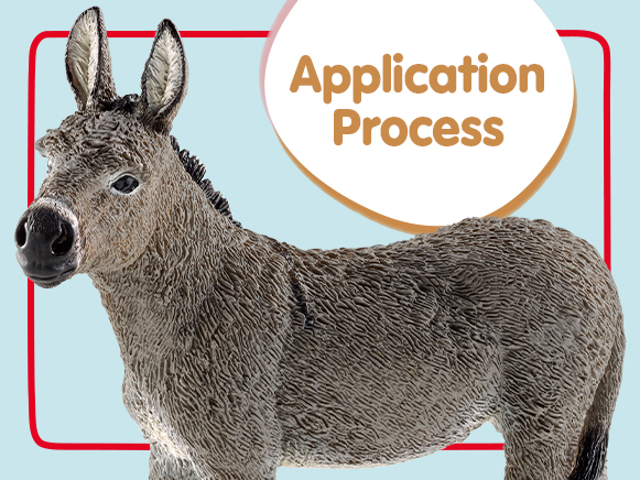 Application Process